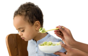 Young seated child being offered a spoonful of something green but refuses it by turning his head away from the spoon